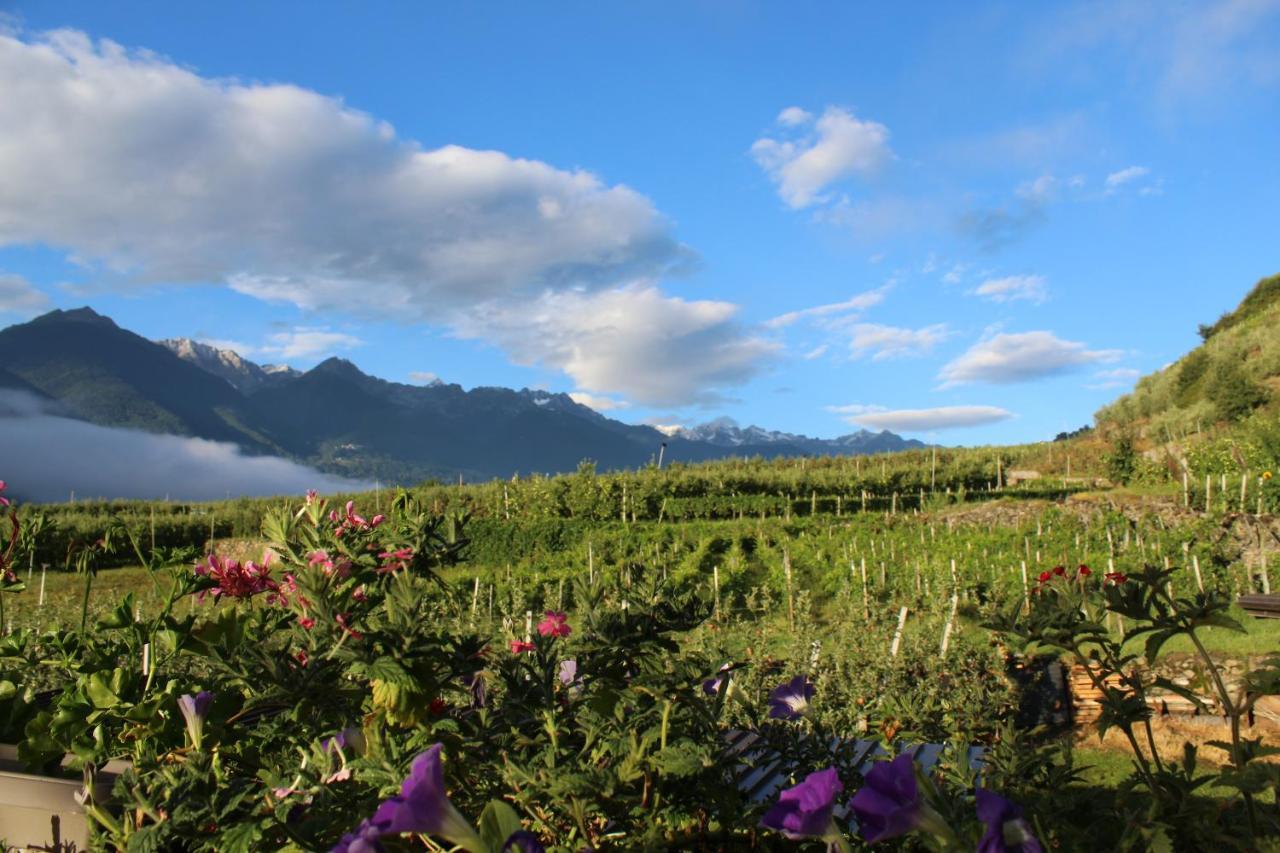 La Vita In Campagna Villa di Tirano Eksteriør billede