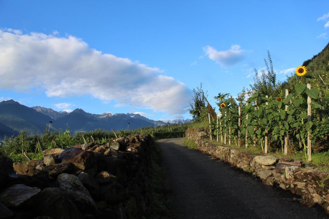 La Vita In Campagna Villa di Tirano Eksteriør billede