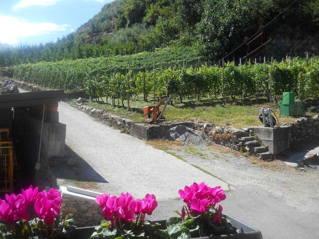 La Vita In Campagna Villa di Tirano Eksteriør billede