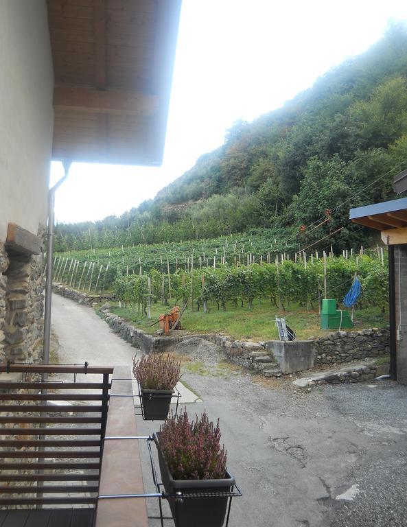 La Vita In Campagna Villa di Tirano Værelse billede