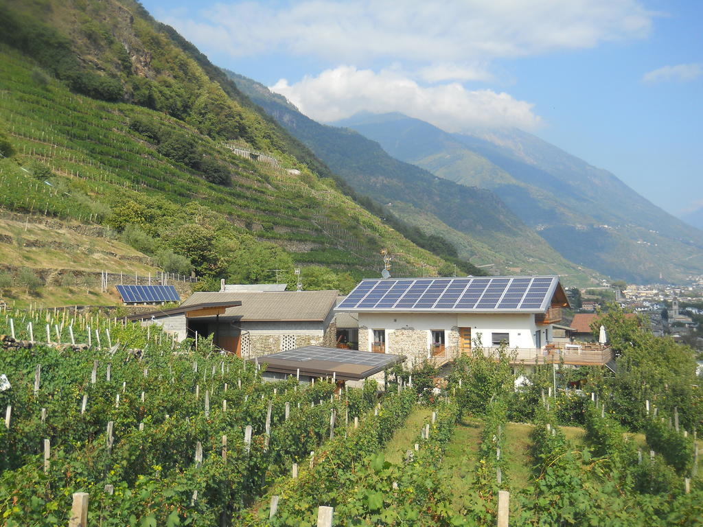 La Vita In Campagna Villa di Tirano Eksteriør billede